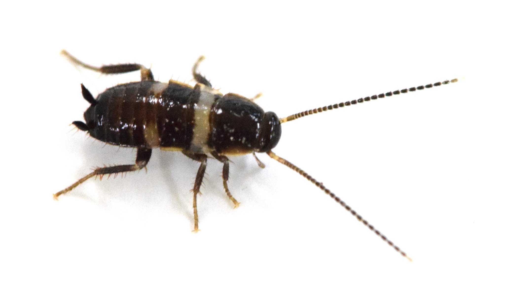 DCRMQWiXkAAt_t-.jpg:large