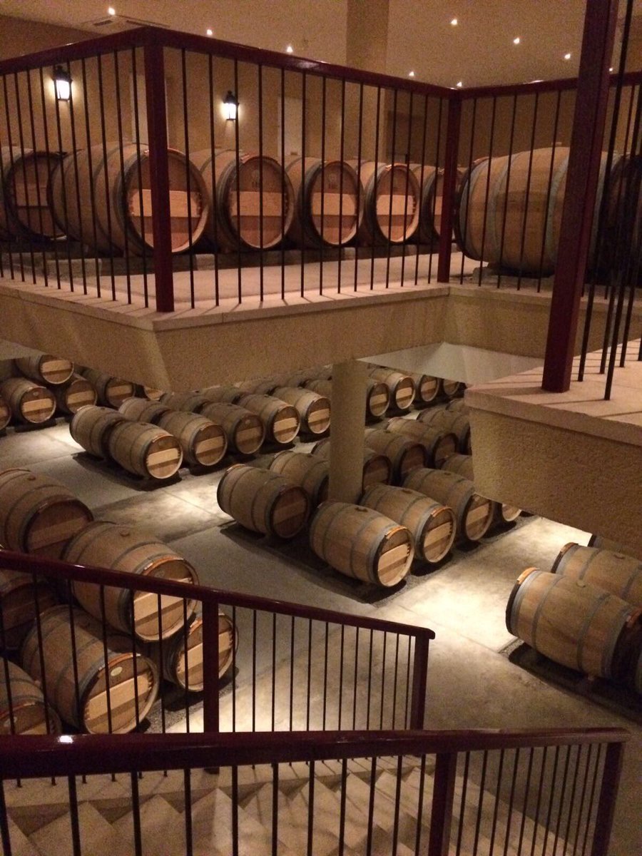 LeftBankBordeauxCup tweet media