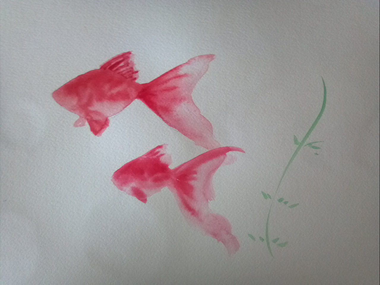 تويتر つくえさんのらくがき講座 على تويتر 金魚とか水玉とかの描き方 さつえいちゅう 初心者さんでも1時間ぐらい水とたわむれると形になるよ 金魚 水彩絵の具 T Co Zx6jvbkuog تويتر つくえさんのらくがき講座 على تويتر 金魚とか水玉とかの描き方 さつえいちゅう 初心者さんでも1時間ぐらい水とたわむれると形になるよ 金魚 水彩絵の具 T Co Zx6jvbkuog