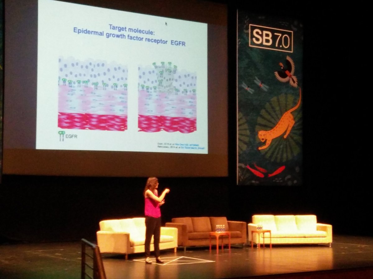 Pablo IvĂĄn Nikel @pabnik.bsky.social (@pabloinik) on Twitter photo Microbial-based nanobodies to target cancer cells. Really cool work by Carmen Mañas <a href="/CNB_CSIC/">Centro Nacional de BiotecnologĂa (CSIC)</a> #SB7Conf Microbial-based nanobodies to target cancer cells. Really cool work by Carmen Mañas <a href="/CNB_CSIC/">Centro Nacional de BiotecnologĂa (CSIC)</a> #SB7Conf