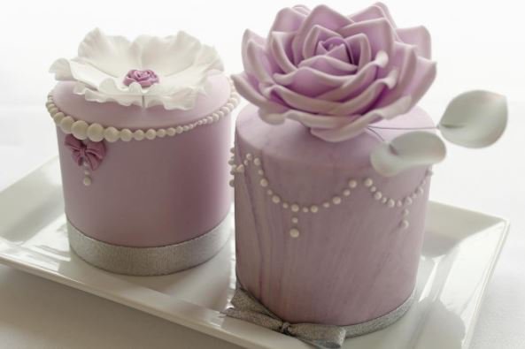 Seaham Hall tweet media