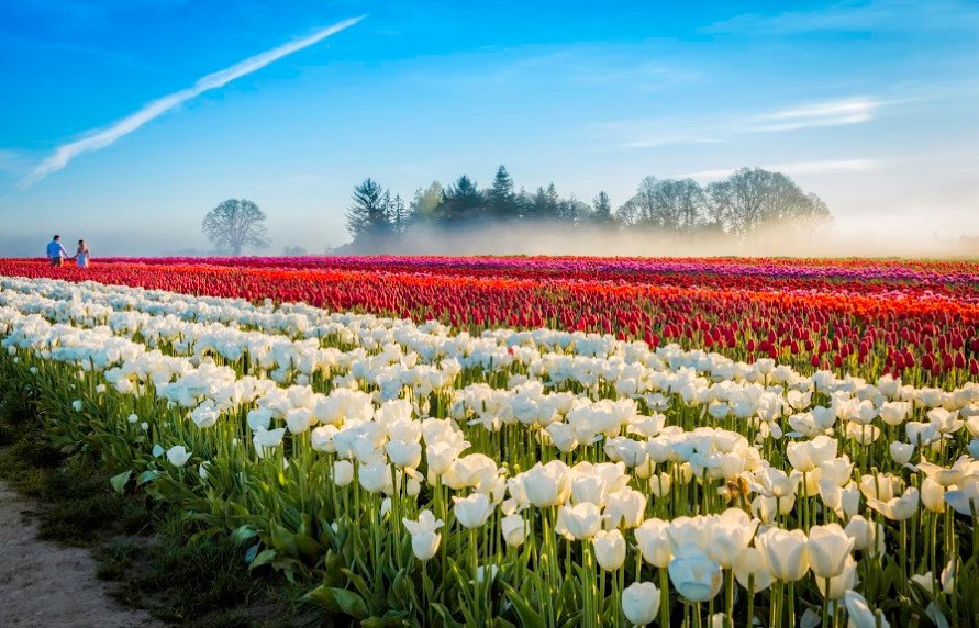 BianchiNRoma's tweet image. God paints 
   in many colors...
TODAY 
Blue is the colour of the sky..
and
red is the colour of Love...

{enjoy every moment..}