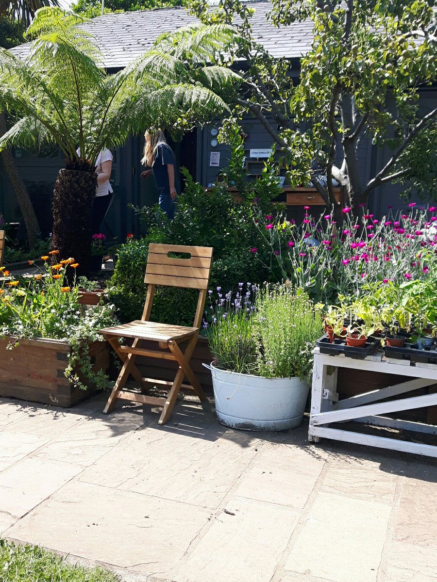 Peoples_Company's tweet photo. @WalworthGarden #inthesun #beeapart #excited https://t.co/bEkCE6YulI