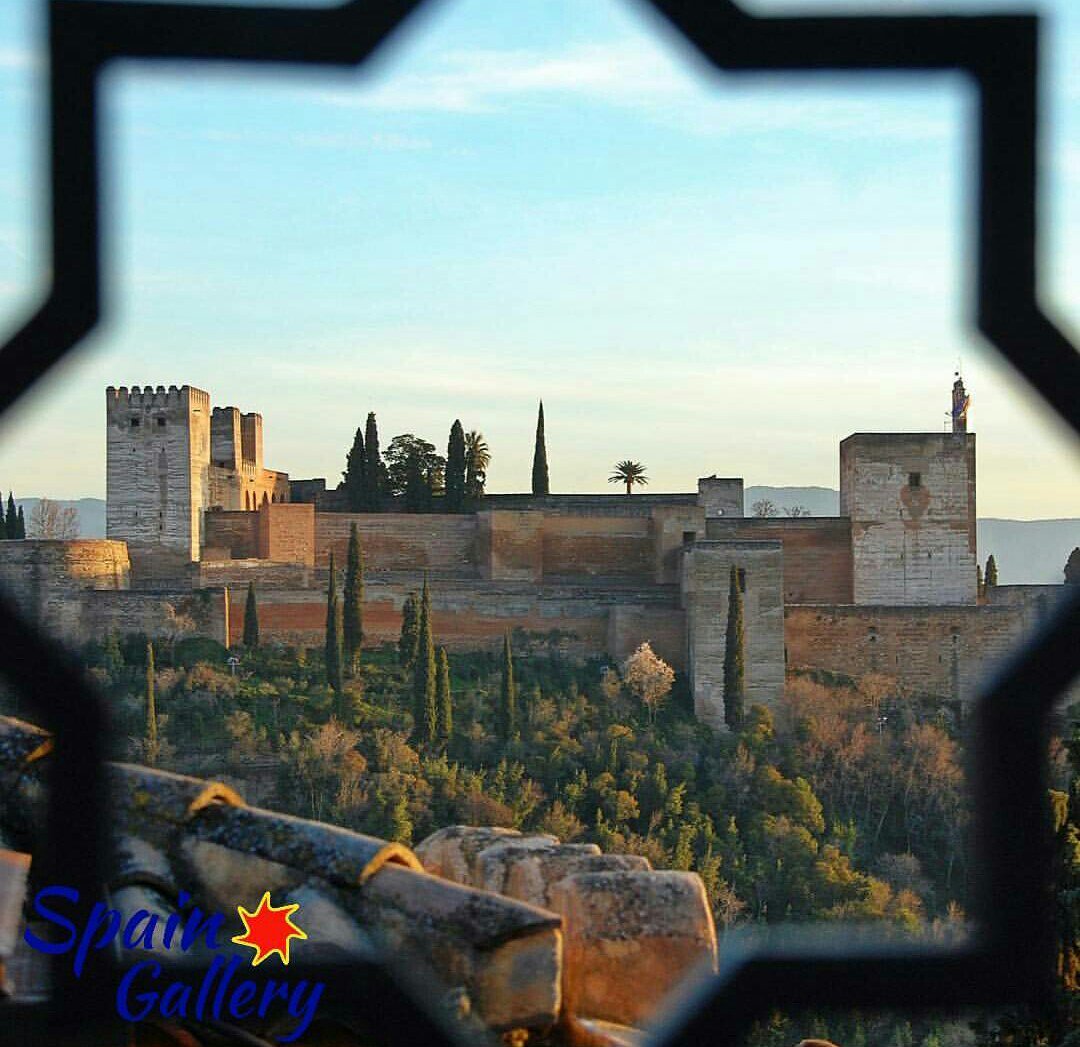 Spain_Gallery's tweet photo. ¿El rincón más famoso de España?..La Alhambra de #Granada. Preciosa toma de @raropin_ #Spain_Gallery #Visitspain @turgranada @TurismoAndaluz https://t.co/LPCccCOoGi