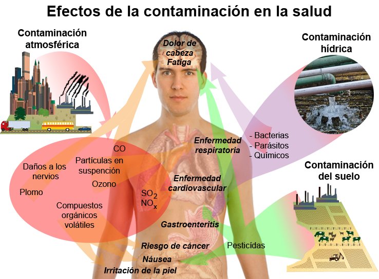 RECICLACCION's tweet image. Efectos de la contaminación en la salud...