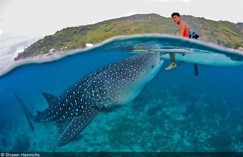 Remote communities are playing critical role in shark conservation &amp; we must continue to support these efforts. #ecotourism #savesharks