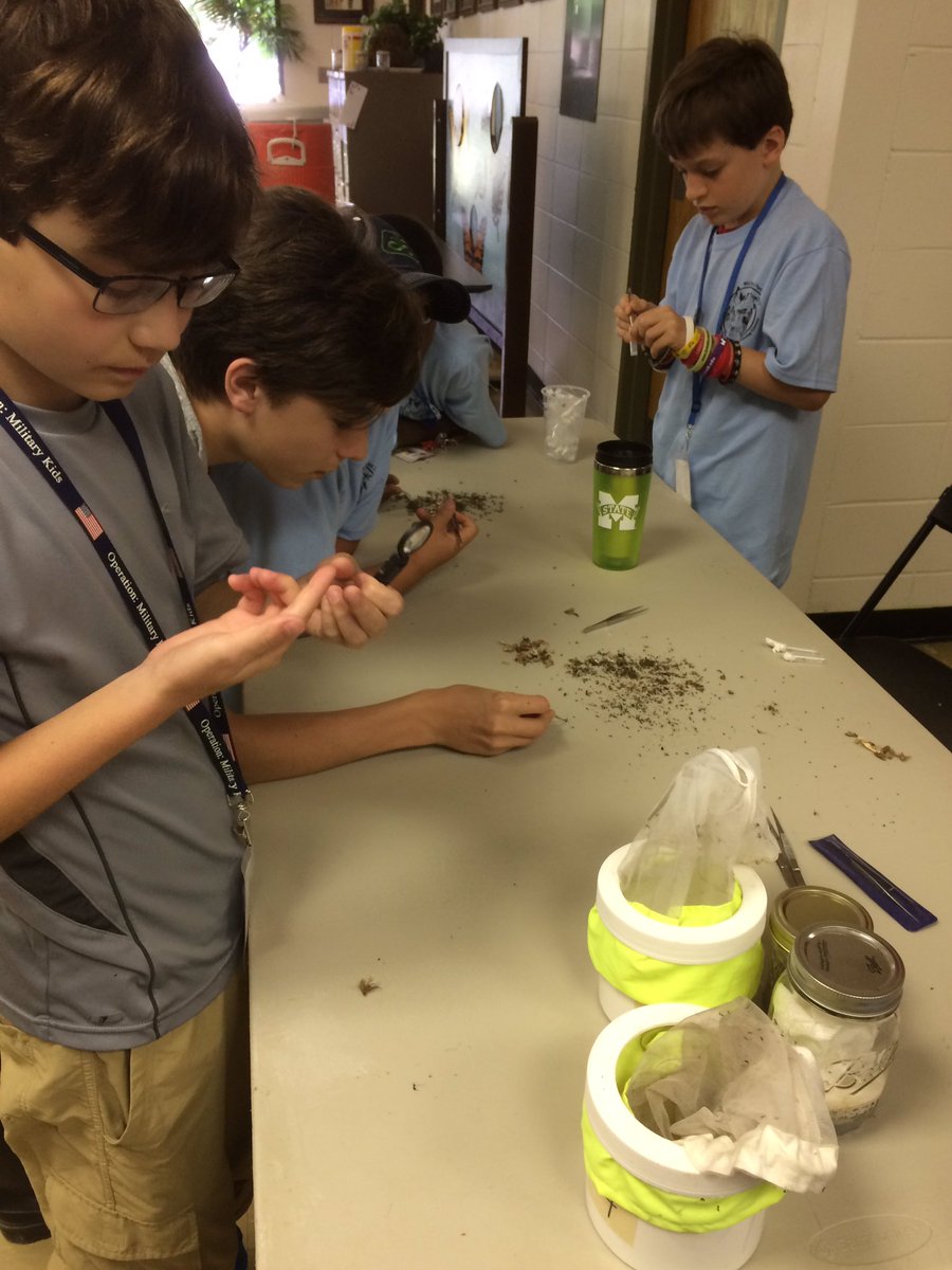 OriginalBugNerd's tweet photo. Campers learning how to sort and identify mosquitos! #BugCamp2017 #MSUExt https://t.co/zN5QhWRsaa