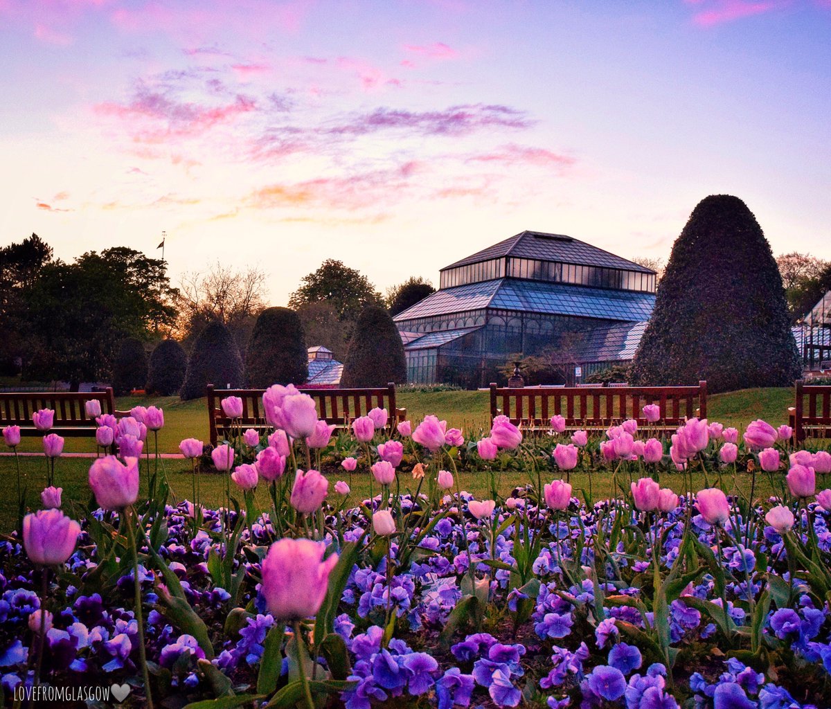 VisitGlasgowSCO's tweet photo. The Botanic Gardens looking amazing at sunset π
Photo from @lovefromglasgow π· https://t.co/fj87MV4976