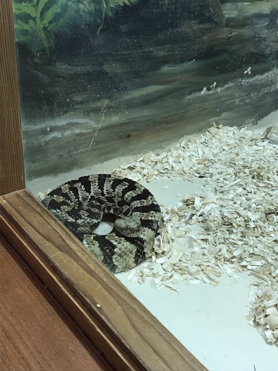 CityofHighPoint's tweet photo. Continuing our tour with #LeadershipHighPoint - checking out the π at the @HighPointPandR Piedmont Environmental Center! https://t.co/8bsUQ8hAcT