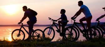 Ride their bikes. Семья на велосипедах. Велосипедисты семья. Семейная велопрогулка. Велосипедные прогулки семьей.
