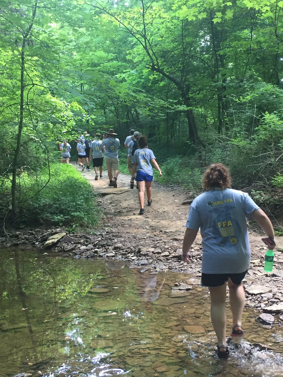 wehsffa's tweet photo. Hiking to the "big tree" at KYFFALTC!  Oldest oak in KY!! #getoutside #FFAmily #kyffa #chapterbonding https://t.co/oWYEQ33Ehg