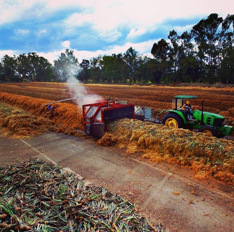 MegsPRUK's tweet photo. Here's @AltosTequila turning agave residues into compost💕#lovethis #wecare #thisisourtequila #soytequilero #prukbeat https://t.co/48GX37YuMR