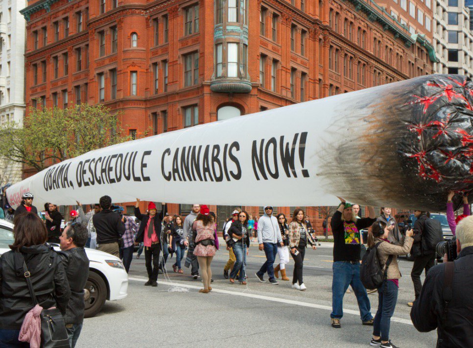 Dopest marijuana protest signs: bit.ly/2pE8AWY