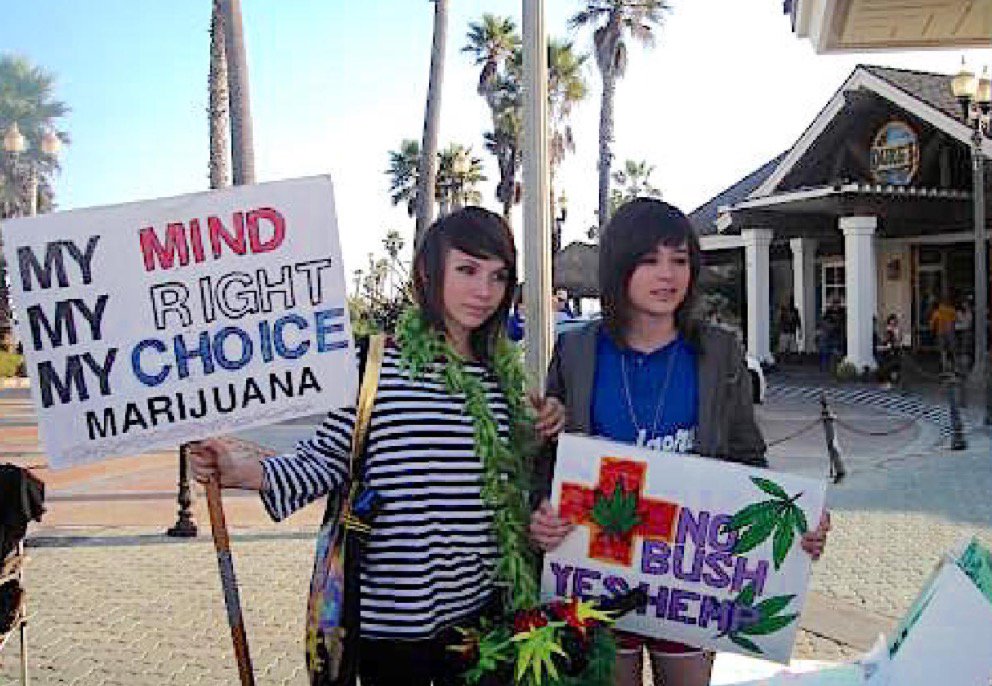 Great cannabis protest signs: bit.ly/2pE8AWY