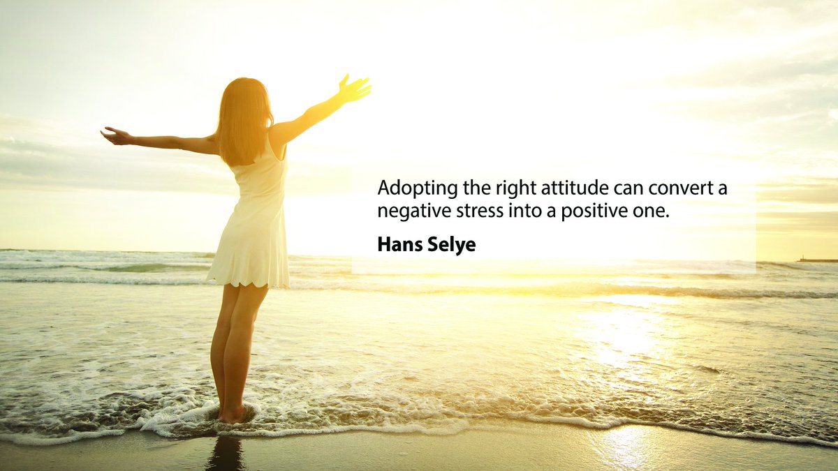 ARX_PaymentServ's tweet photo. Have a great day!
#MidWeekMotivation #Attitude #EliminateStress #PositiveLifestyle https://t.co/Ax1zBfFHj4