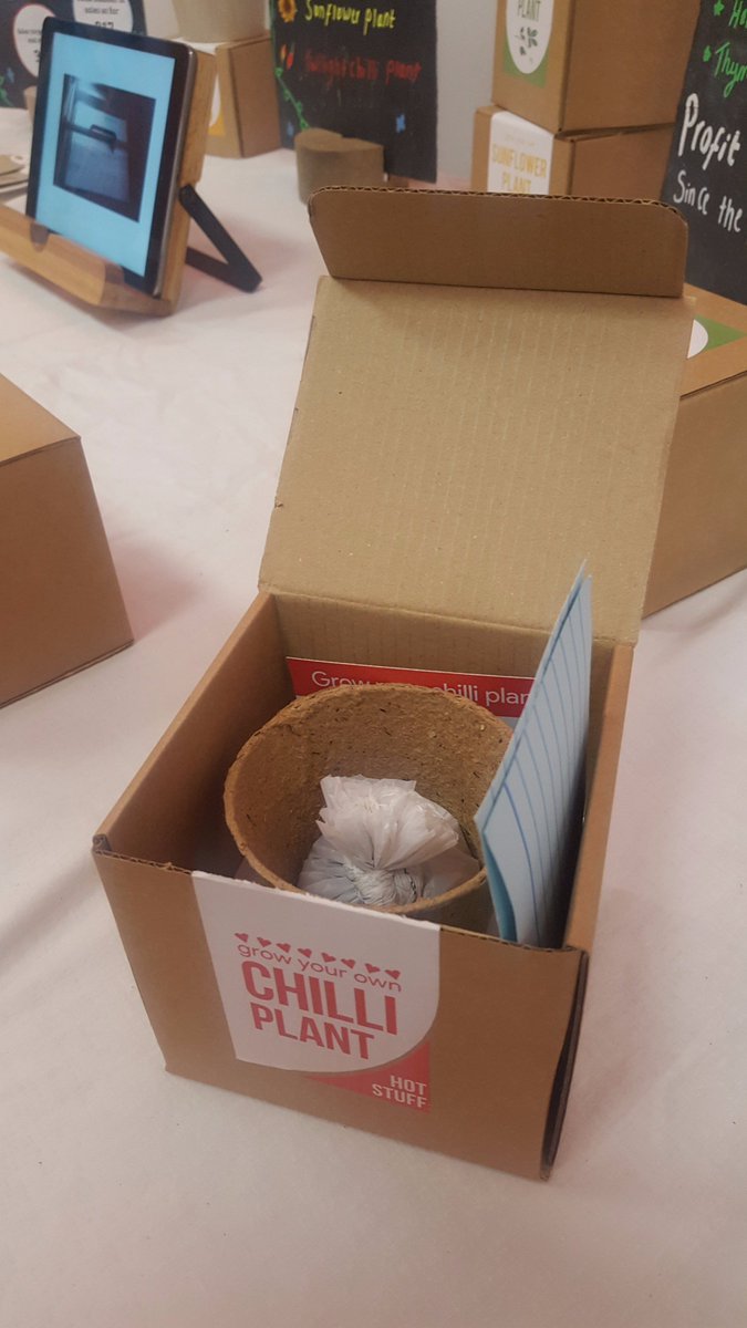 YE Dorset tweet media