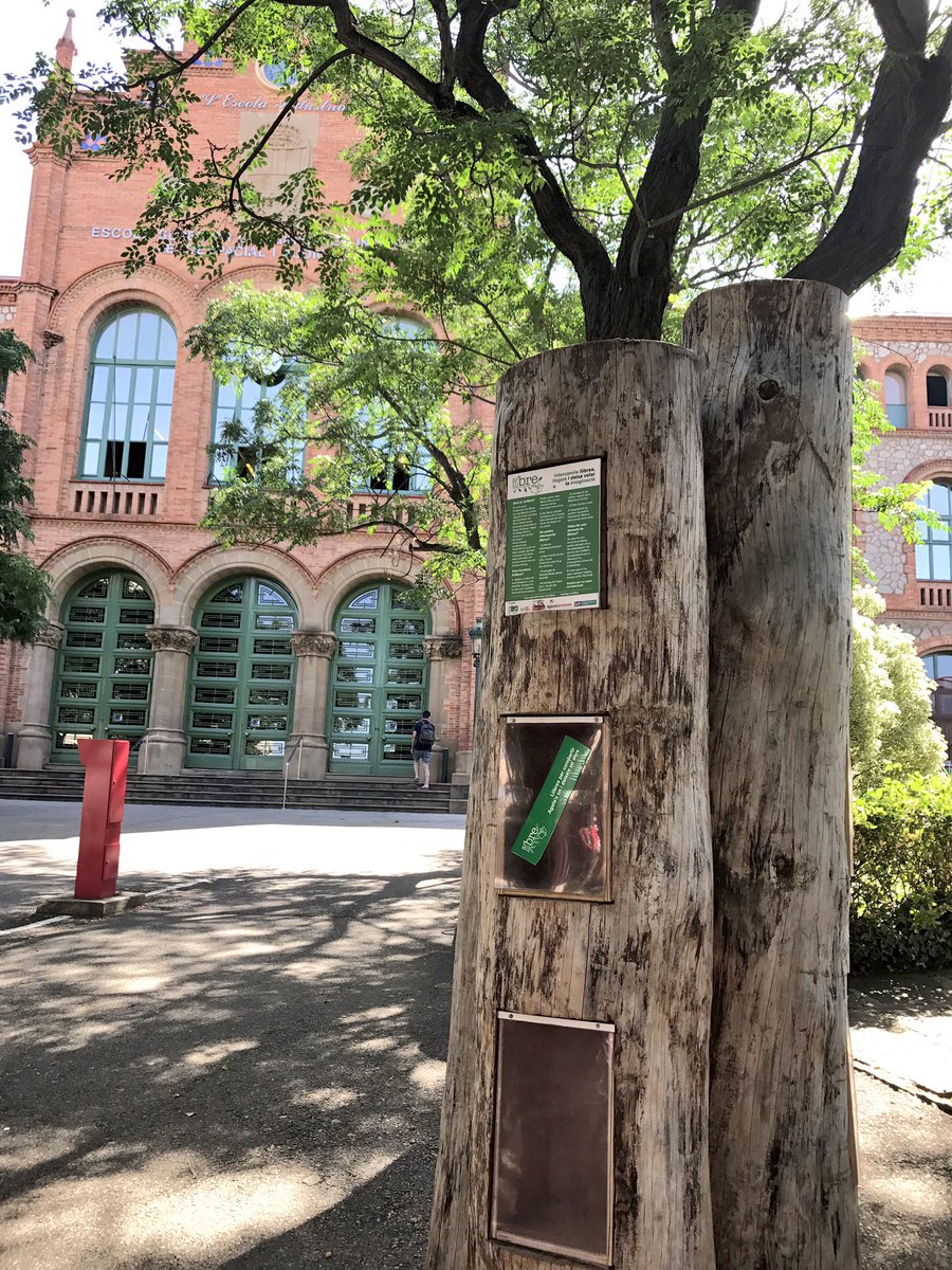 JuditObon's tweet photo. Bona iniciativa per fomentar la lectura a l'entrada del TR1 de @eseiaat_upc #arllibre #bookcrossing @AgoraTrs #terrassa #arbresculturals https://t.co/Drbvi1OPmX
