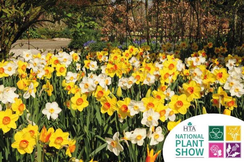 kapiteyngroup's tweet photo. From 20th to 21st June, 2017 Kapiteyn will have a stand showing at the #HTAPlantShow. You are more than welcome to visit us in Stand 141. https://t.co/1SRUgDKS9s
