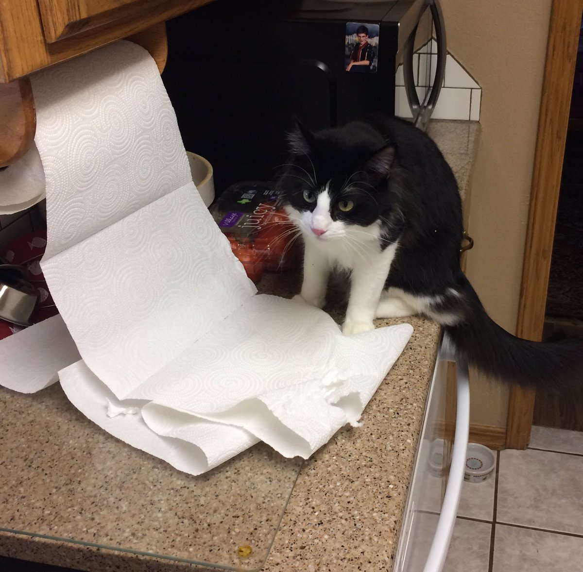 Can't leave the room for one minute!!!