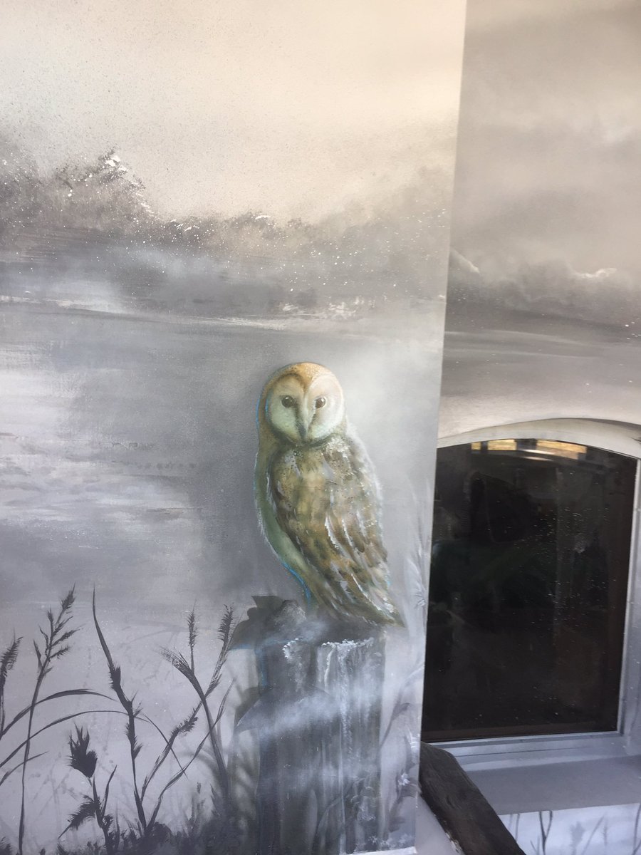 paulhawthorn1's tweet photo. Just captured the light on this #barn-owl #worksinprogess @BarnOwlTrust #bespokewall @HawkConservancy #oldmill #salisbury @salisburyrotary https://t.co/HnhsyFTwJe