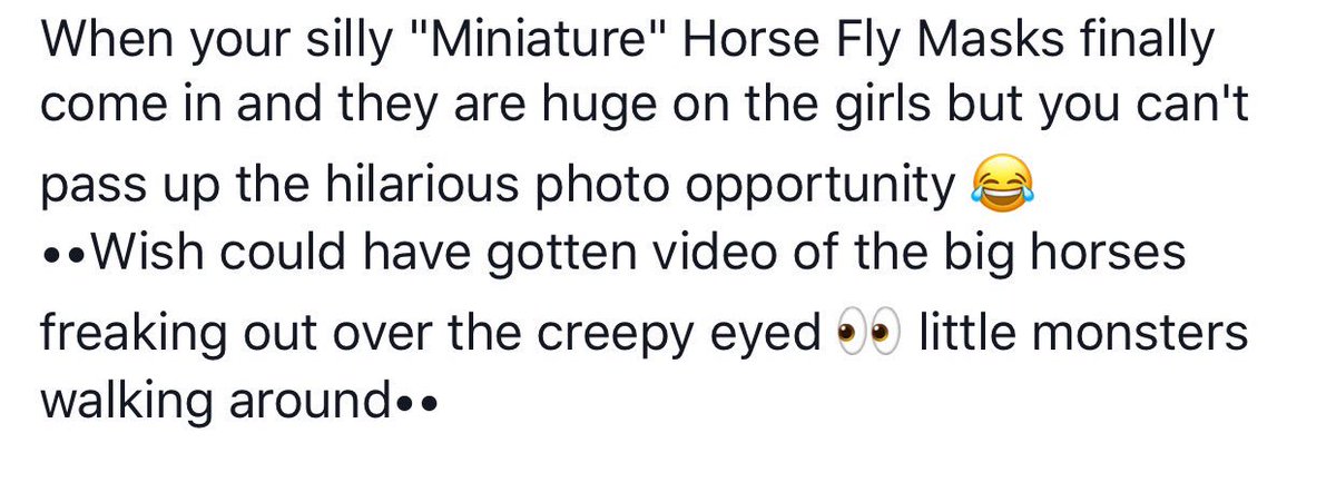 MHOLminis's tweet photo. #therapyhorses #Star #JazzBuddy #flymasks #fun https://t.co/fSgz8DfJiG