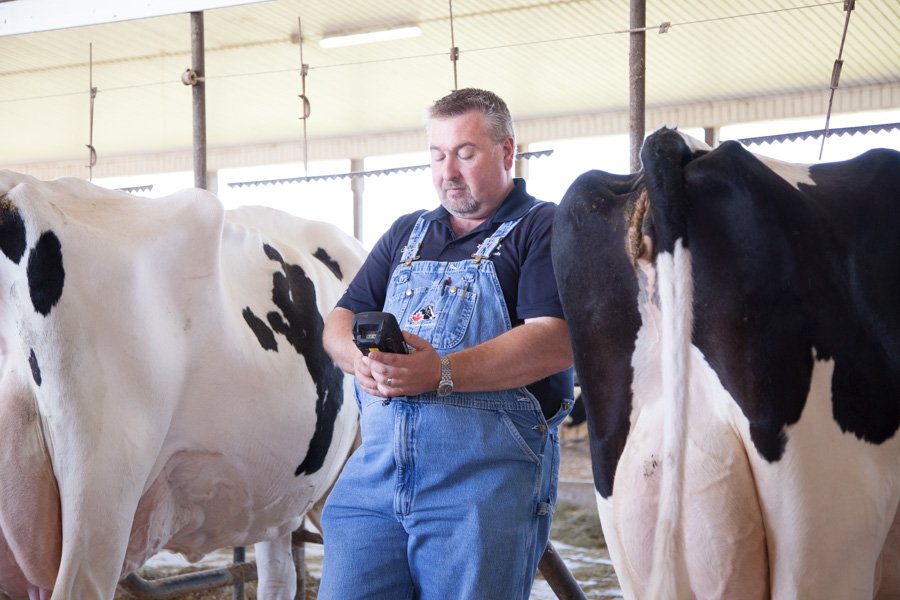 Exciting career opportunity with Holstein Canada: Classifier/Conformation Assessor: ow.ly/CtZk30cAc8w