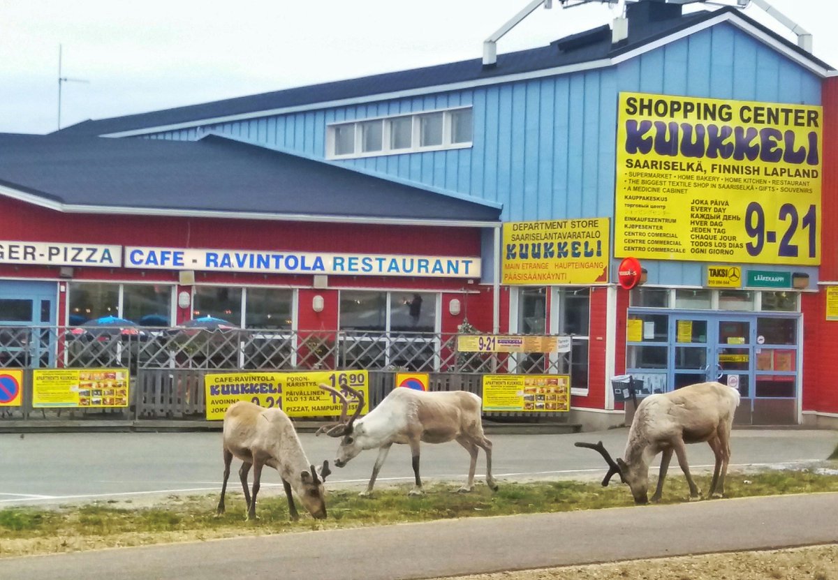 InariKuukkeli photo