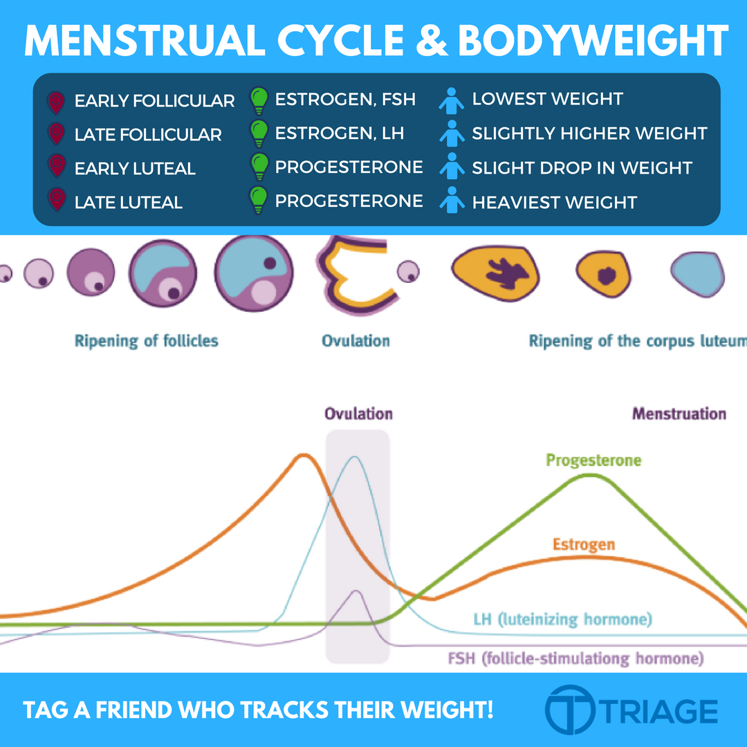 27 цикл месячных. Менструальный цикл. Менструальный цикл схема. Овариально-менструационный цикл. Менструальный цикл кратко и понятно.