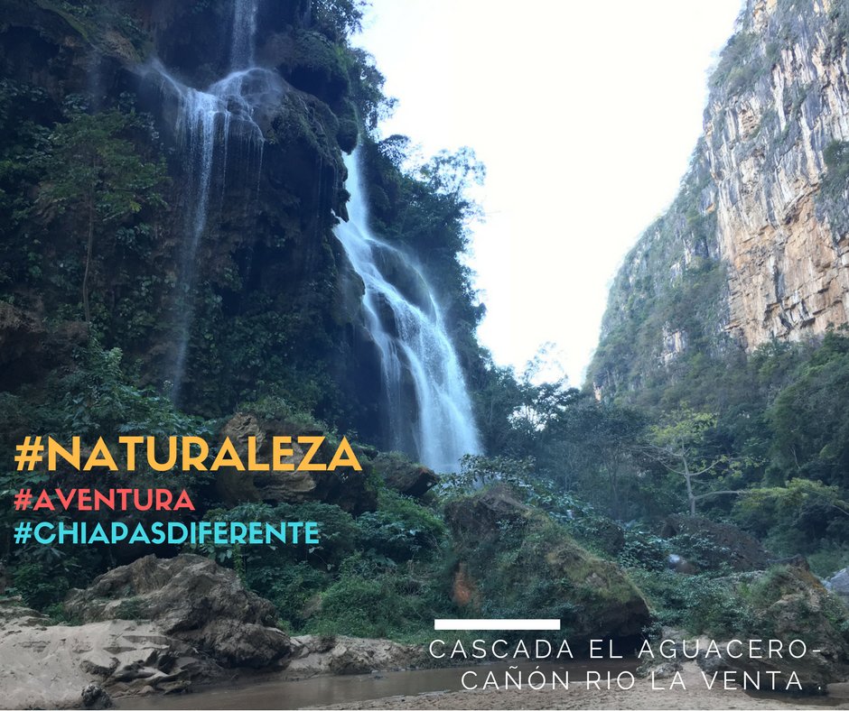 ECOEXPERIENCIAS. CHS tweet media