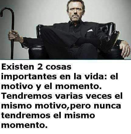 pinguithoss's tweet image. 