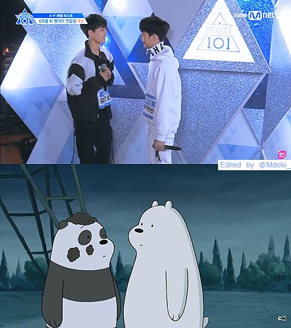 Mdolo_'s tweet photo. เราลองเทียบโมเมนต์ซอนโฮกับหลินเว่อร์ชั่นน้องหมีออกมา 55555555555 น่ารักมั้ย 🐼🐻
#YooSeonho #LaiGuanLin #PRODUCE101 #프로듀스101시준2 #ทีมเด็กคิวบ์ https://t.co/CjSpbLMFNF