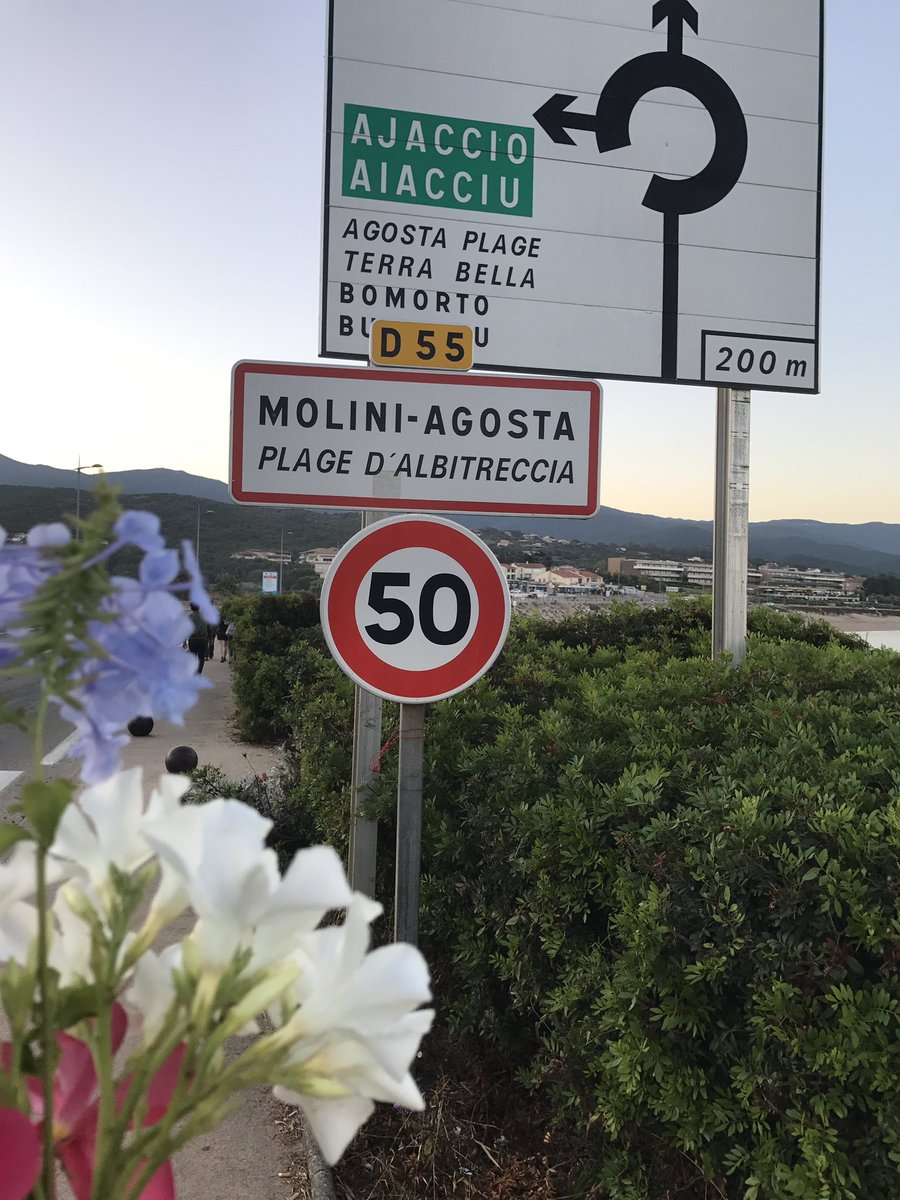 witamine's tweet photo. Quand tes collègues t'offrent des fleurs à 6h du mat' #resoneo cc @matthisduarte https://t.co/wDNgfYBBNX