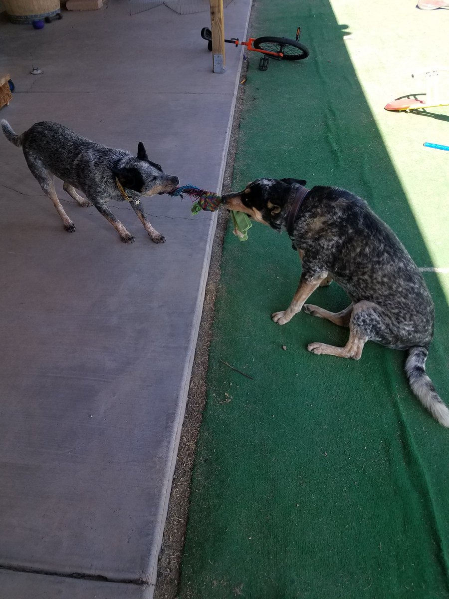 CountryFourLife's tweet image. When weight is on your side