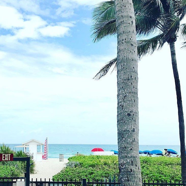 MBeachResort's tweet photo. From our poolside entrance to the beach by @agostina_molina 🌅🌴✌🏽 https://t.co/TK9oEEHUTM https://t.co/wW9ukVz247