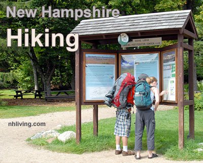 nhlivingcom's tweet image. Spring Time in NH #nhhikes #lupines #whitemountains #brettonwoods #newhampshire #jacksonnh #haveitall ow.ly/XEKA30cz3qT
