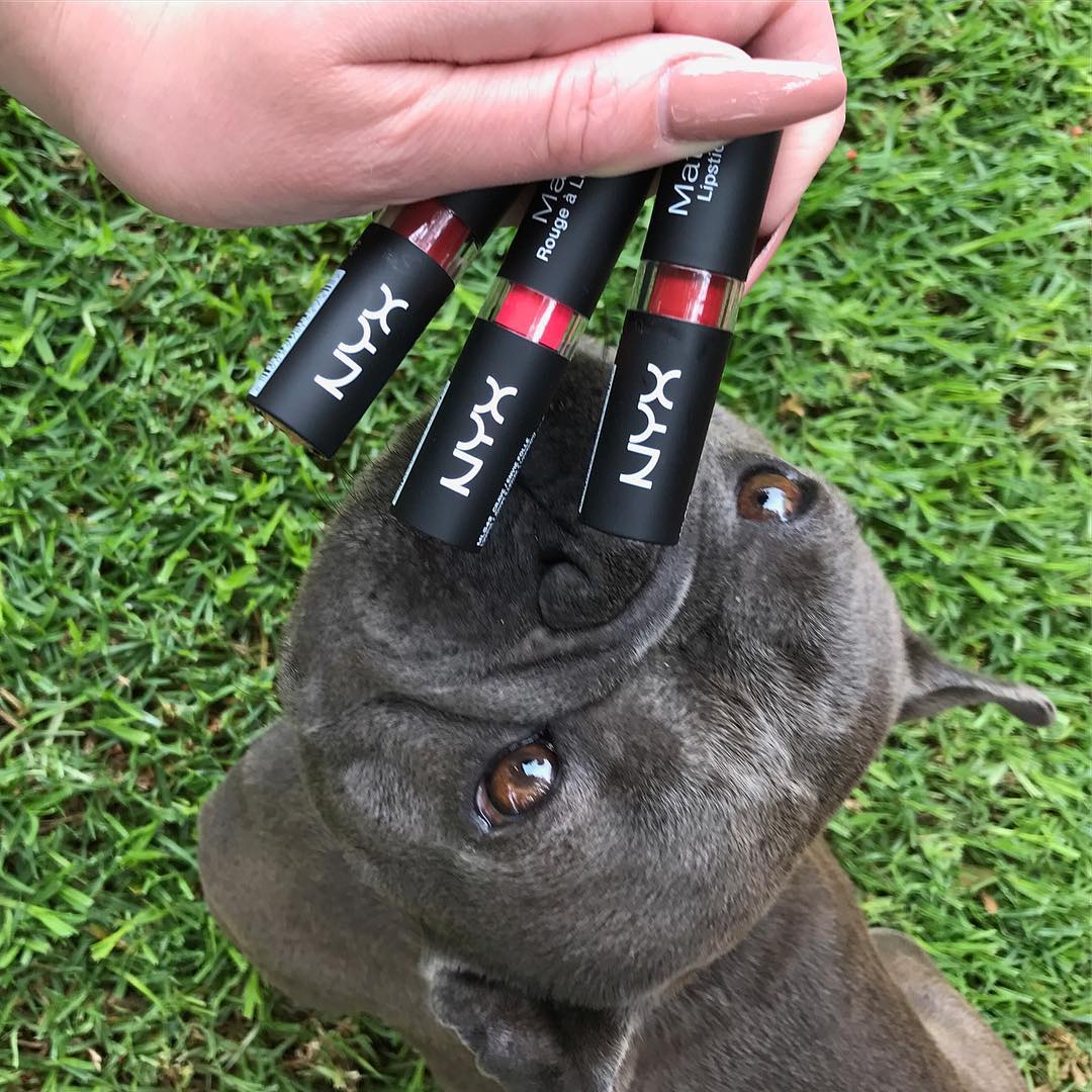 Ser una marca Cruelty-Free nos llena de amor, ya que ninguno de nuestros productos son probados en animales, RT si también eres #AnimalLover