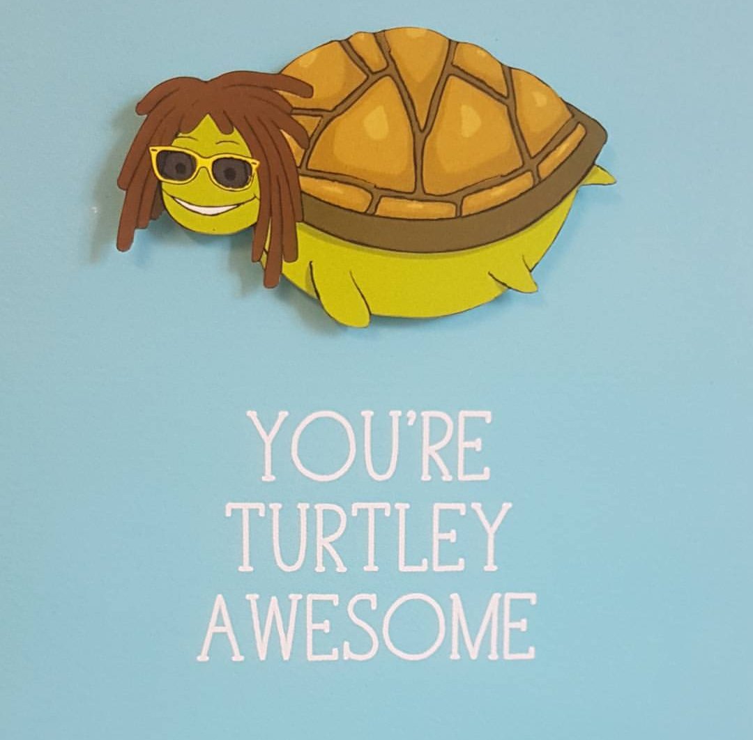 purechannels's tweet photo. We're having a turtley awesome day here at purechannels HQ 🐢#channelmarketing #channelagency #agencylife #turtleyawesome #b2bmarketing https://t.co/HvmhBb3aXK
