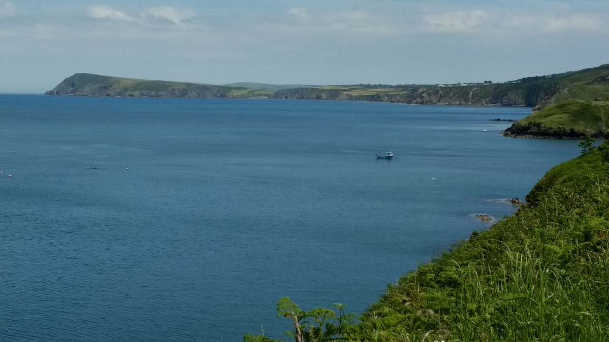 Great day for a walk along Pembrokeshire coast today. Thanks <a href="/DerekTheWeather/">Derek Brockway - weatherman</a> for arranging the weather! 👍