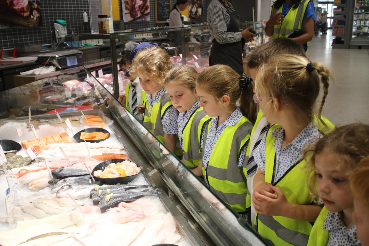 SJCJuniorSchool's tweet photo. Our Reception Class at @waitrose #Southsea, finding out about the different fish they can find under the sea! #SJCPrePrep #Portsmouth https://t.co/UjFb6ZZs5g
