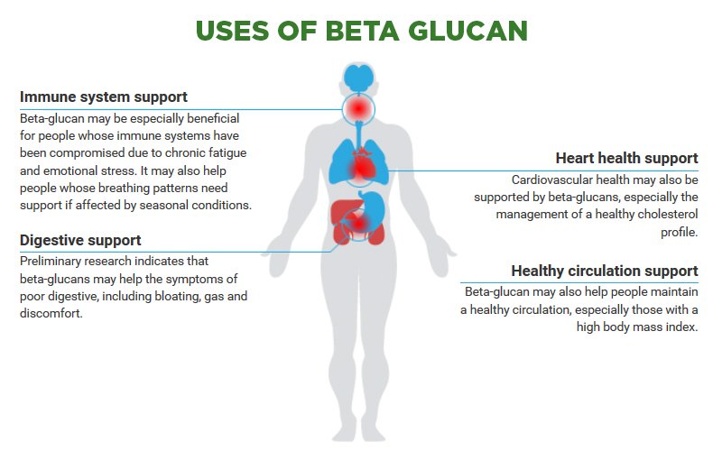 natureschoice99's tweet photo. Learn about the uses and potential benefits of #BetaGlucans in the body. 
More info: https://t.co/Po0BSS3ohS https://t.co/DzQhJYCaoL