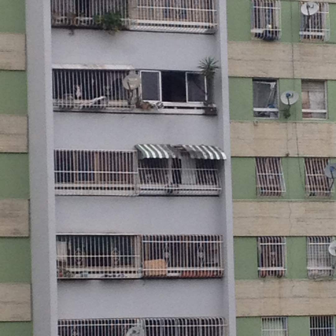 Gato_Vzla's tweet image. A CAZARLO!
Humberto Diaz  C.I 3.556.254 Los Verdes piso 3 apto 34. Llamo al CONAS gritaba &quot;ahi tienen malditos guarimberos&quot; 
.@YoSoyJustin