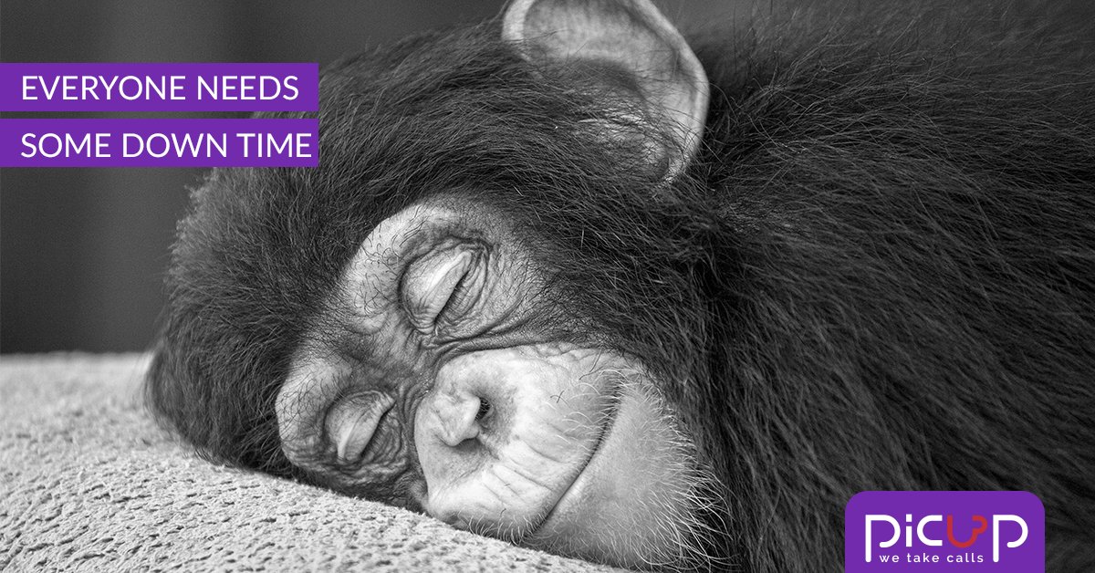picupcalls's tweet photo. On #MonkeyAroundDay, take a little break and try PicuP, the small business phone service that manages your calls! https://t.co/qxDJIO9ZSd https://t.co/6ds3gE1Y5x