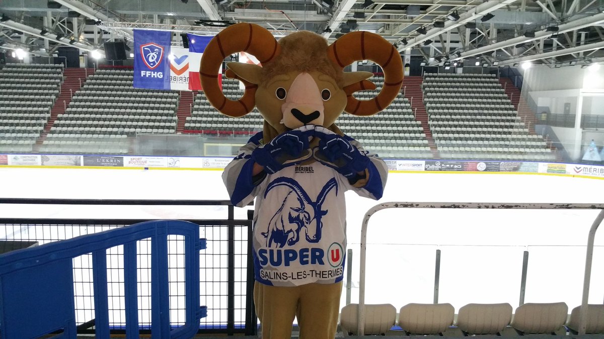 BouquetinsHCMP's tweet photo. De la patinoire olympique de @Meribel3vallees Bouky et @BouquetinsHCMP  supportent @Paris2024 #paris2024  #spopets 
@spopets_FR #hockey92 https://t.co/DPuksMxtp5