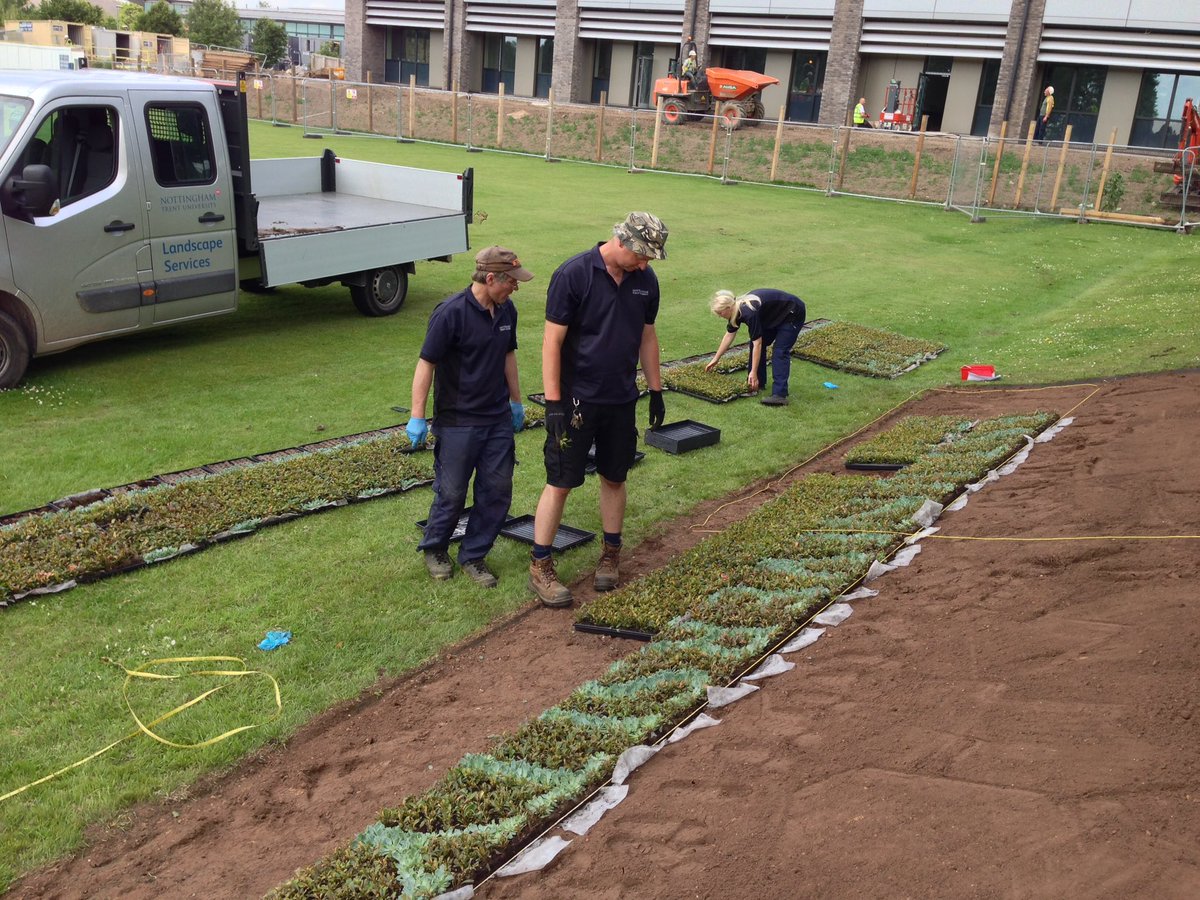 NHarrisonHortic's tweet photo. Installation of the logo by @CatherineOakes6 @David30ish @NHarrisonHortic  and Ian from @NTULandscapes https://t.co/C5ydaTBMd1