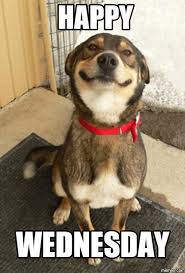 Pawsitively_Pet's tweet image. Happy Wednesday Everyone! Week is half over!!! #WednesdayWisdom #pawsitivelypets #Wednesday