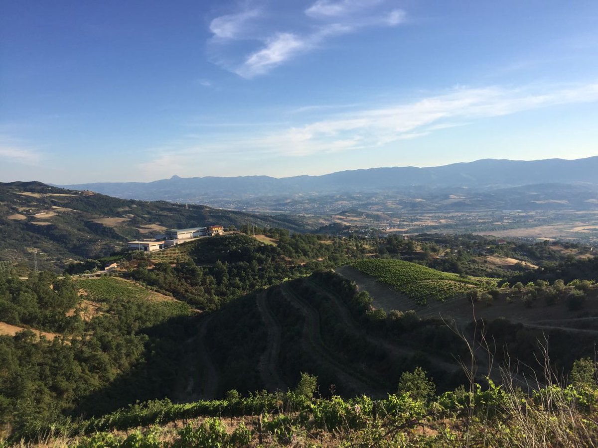 WineTimesIT's tweet photo. It's time for #PressTour! #WineTimes si trasferisce per qualche giorno al Sud Italia alla scoperta delle cantine calabresi https://t.co/Q3sKgNU8pF