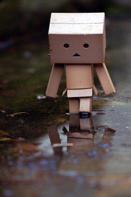 shufflecapture tweet picture