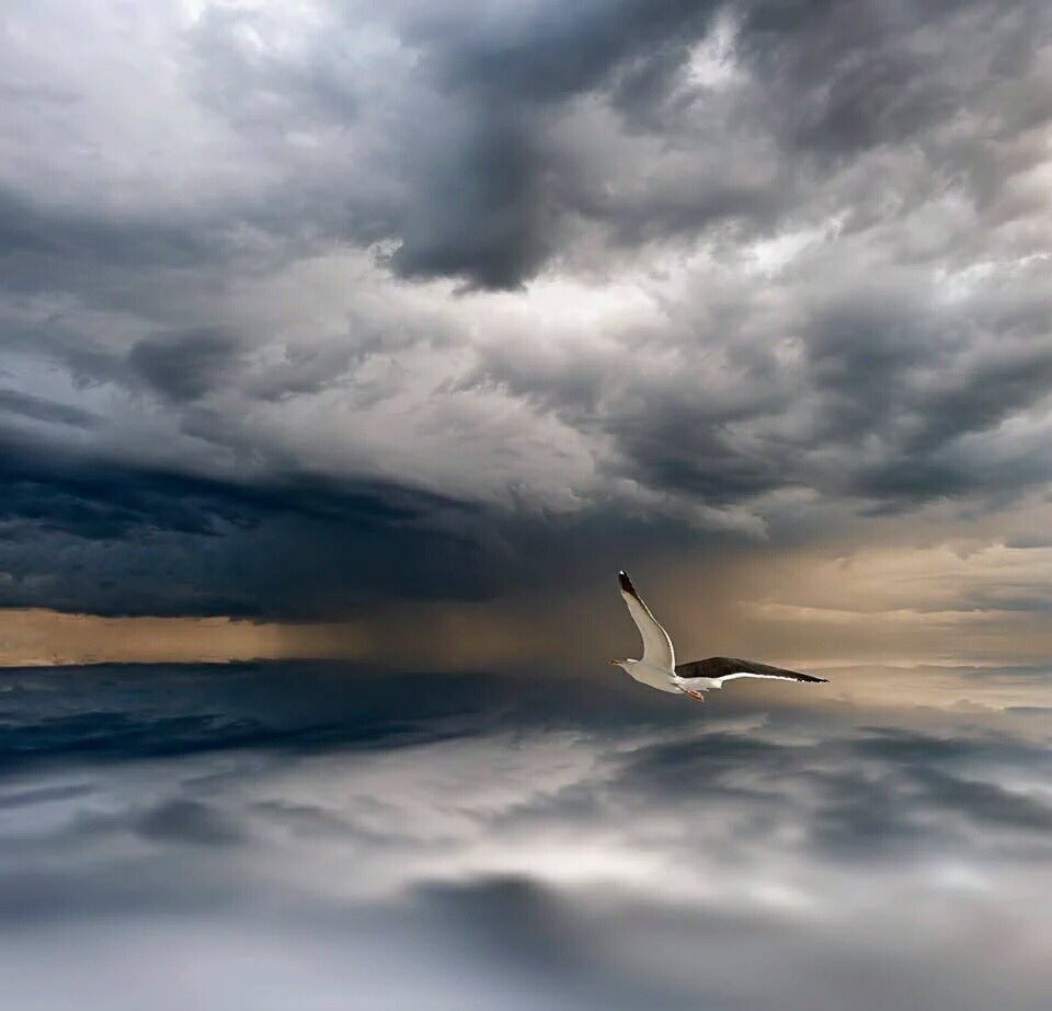 mind_tao's tweet photo. ��انون التوقع يقول أن أي شيء تـتـوقعه وتضع معه شعورك وأحاسيسك سوف يحدث في عالمك الخارجي...

@mind_tao https://t.co/tYCWNZrl5W