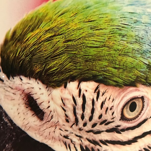 TyrrellTechInc's tweet image. Our JFX200-2513 at work at our Pompano Beach Florida location! Call us Today to schedule a demo! 888-865-0300 ext 2 #mimaki #jfx200