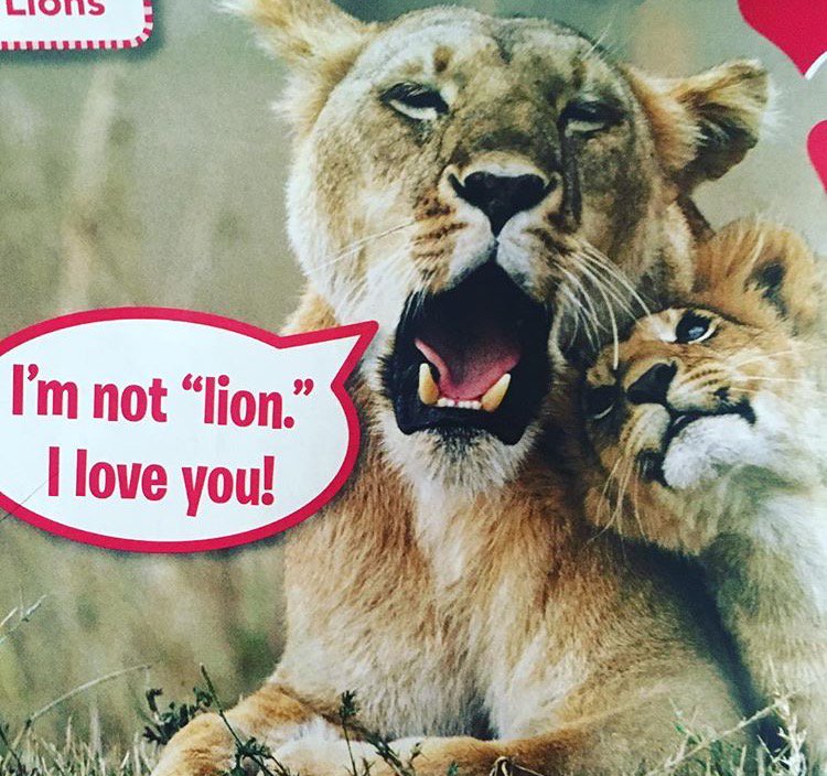 #ILY #HEHE 😻❤️